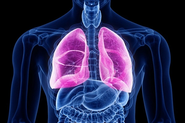 Effects of Vasoactive Intestinal Peptide on Pulmonary Health